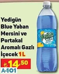 YEDİGÜN BLUE YABAN MERSİNİ VE PORTAKAL AROMALI GAZOZ